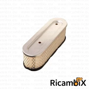 Filtro aria motore Briggs & Stratton 12 hp verticale - rif. orig. 491519|399806