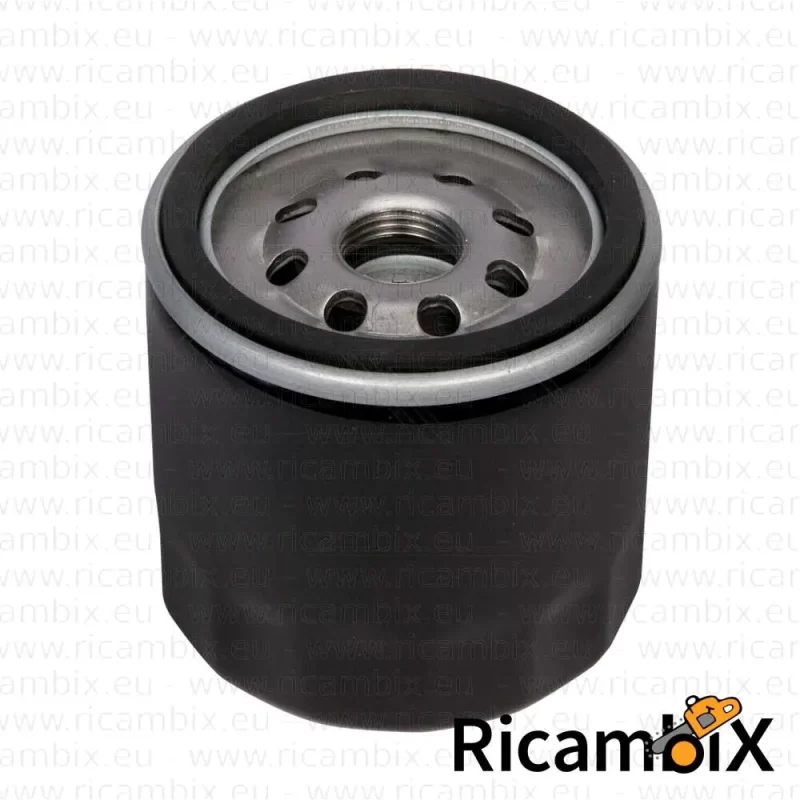 Filtro olio Toro Trasmissione (10 microns) - rif. orig. E633750|229740