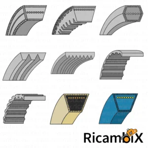 Cinghie trasmissione